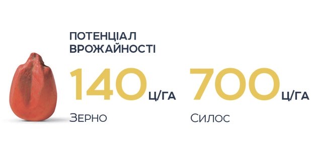 Меган