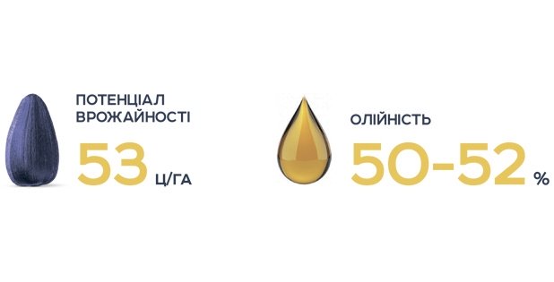 Авалон