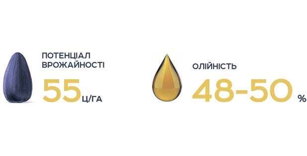 Пегас