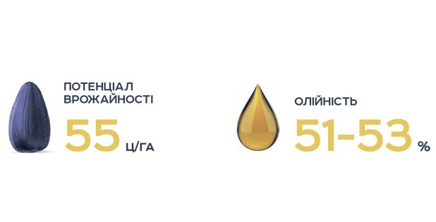 Пегас