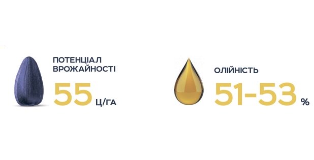 Пегас