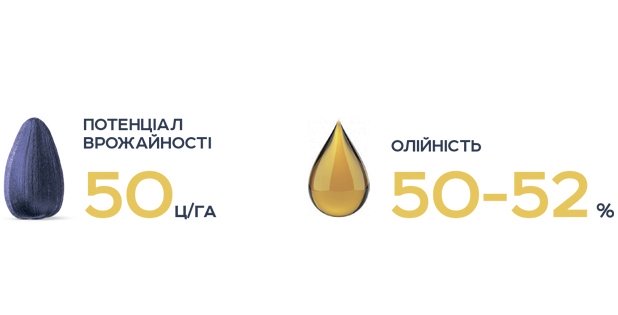 Пегас